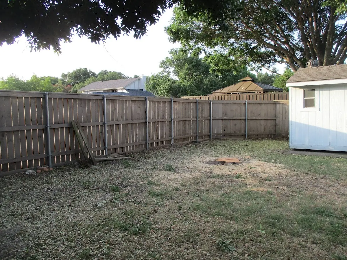 Cleared yard after professional tree removal in Nazareth