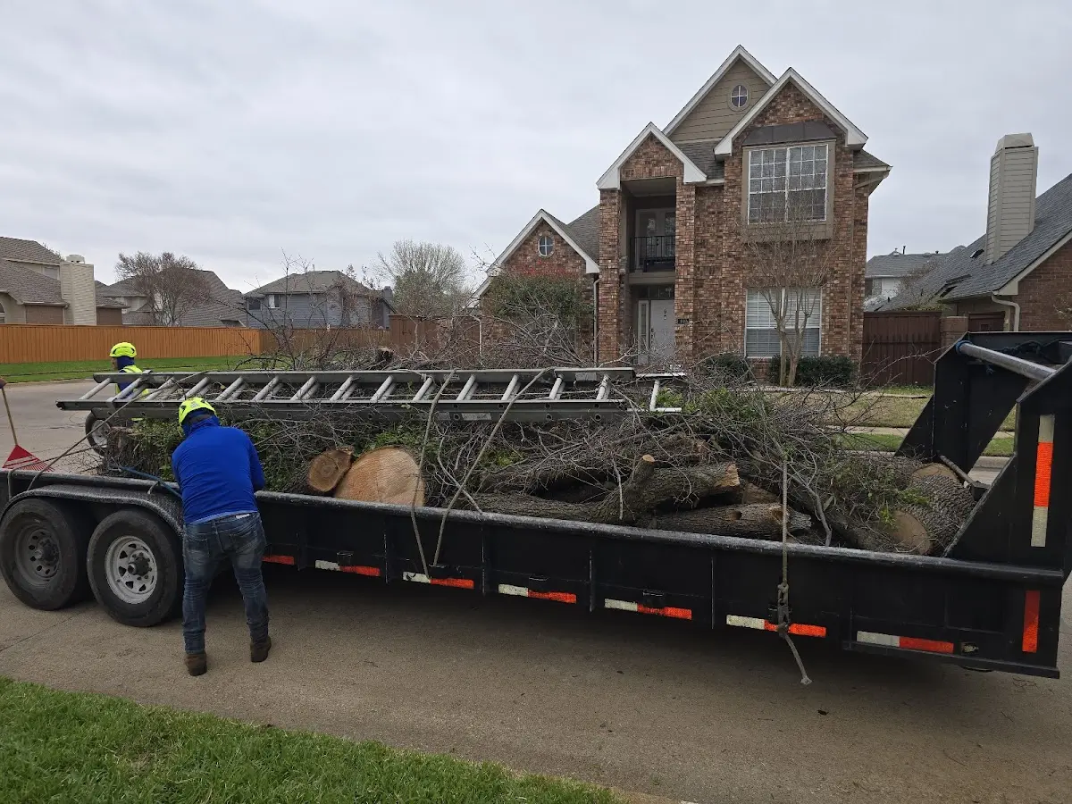 Expert Tree Removal with proper safety equipment in Nazareth
